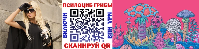 Галлюциногенные грибы Cubensis Барнаул